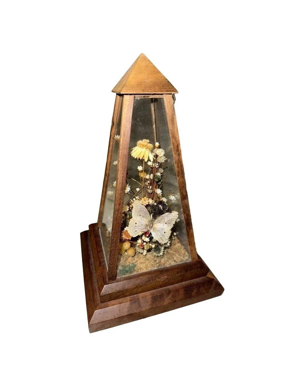 Vintage Dunston Glass Enclosed Dried Butterfly Flower Arrangement Brazil 9x 5